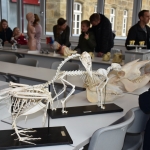 Tag der offenen Tuer 2019_32.JPG